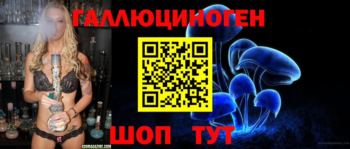 Новоуральск  Галлюциногенные грибы Cubensis  Вход с VPN 